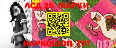 молекула духа Будённовск
