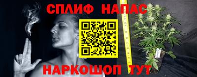молекула духа Будённовск