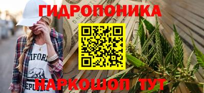 молекула духа Будённовск