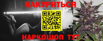 молекула духа Будённовск