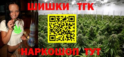 молекула духа Будённовск
