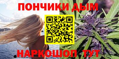 молекула духа Будённовск