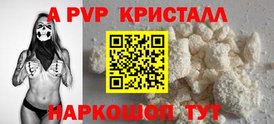 молекула духа Будённовск