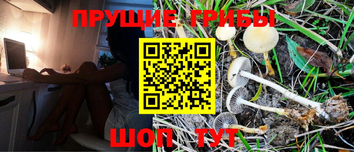 Липецк  Галлюциногенные грибы Psilocybe  Вход с VPN 