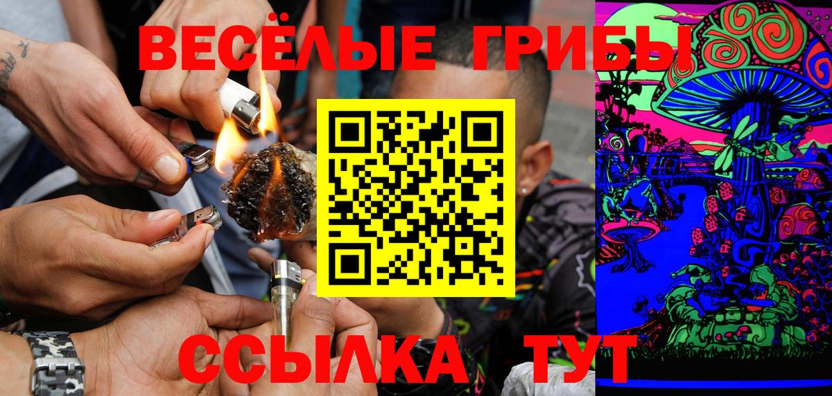 Галлюциногенные грибы GOLDEN TEACHER Липецк